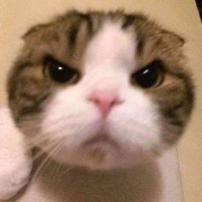 MrParadox33's profile picture. 