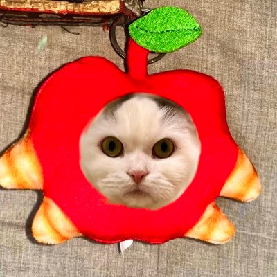 リンゴ🍎さんのプロフィール画像