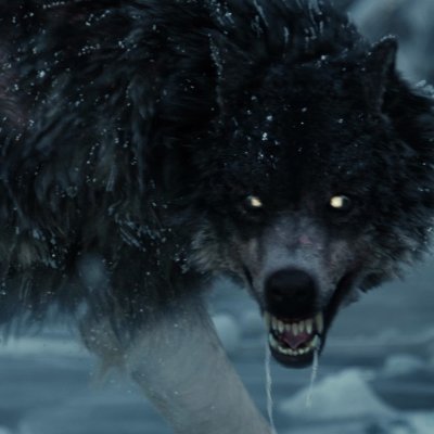 _Ravenia_'s profile picture. EN | illustrations & more I