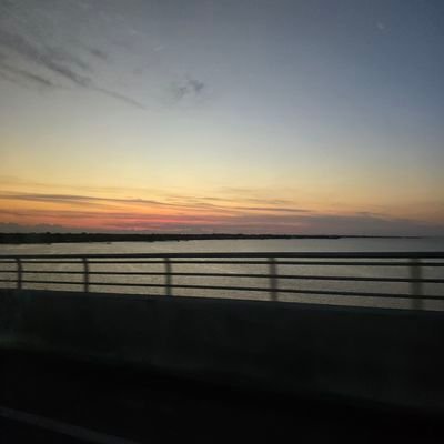 ybee88yb's profile picture. 