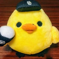 こは@ドラゴンズ (@koharin5_dra) 's Twitter Profile