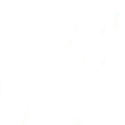 N Profile