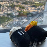 立野 (@t_no_memo) 's Twitter Profile