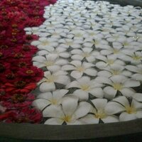 أ. سحر المالكي (@almalkisahar) Twitter profile photo