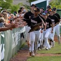 CLC Tiger Baseball (@cltigerbaseball) 's Twitter Profile