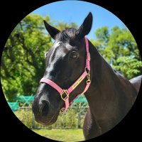 スペさん(元競走馬・スペシャルサンクス) (@abii_horse) 's Twitter Profile Photo スペさん(元競走馬・スペシャルサンクス) (@abii_horse) 's Twitter Profile Photo