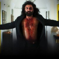Ƙumar³ (@thekumarrr) 's Twitter Profile