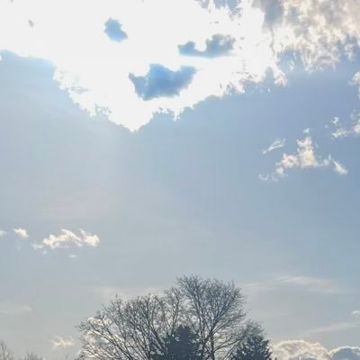 StatsTests's profile picture. test