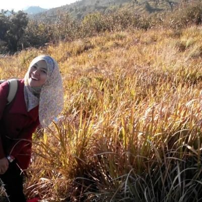 sarboish's profile picture. Tweets are personal.