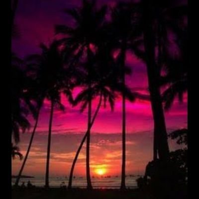 deliaaxdd's profile picture. 