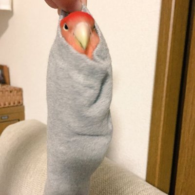 김장남さんのプロフィール画像