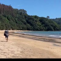 Davie (@davienz06) 's Twitter Profile