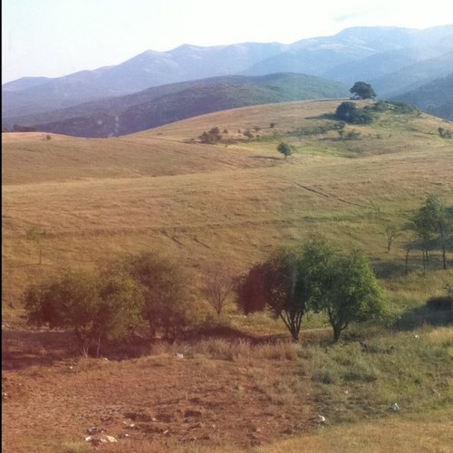 ayed_18's profile picture. 