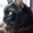 JohnAbudon11's profile image