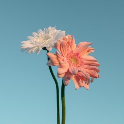 yu_design21's profile picture. “想いが伝わるデザイン”を💌｜Webデザイナー｜広告バナー／SNS画像／サムネイル／ヘッダーetc ｜日々の勉強記録