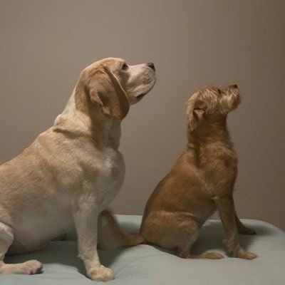 FunGames729789's profile picture. Keep up with the latest news, events, and free rewards in the gaming industry 🎮