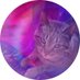 Ender (@ender8online) Twitter profile photo Ender (@ender8online) Twitter profile photo