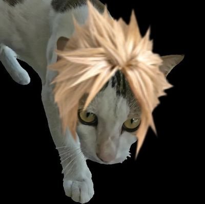 ♥️ Anime | Manga | Gaming ♥️ Multifandom/Personal acc. ♥️ Cat/Animal RTs ♥️ 💙 Returning E.L.F 🐧 (KDH & SuJu's 20th anniversary reignited my old interest)