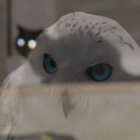 Savva Wojciechowski (@savvgrad) 's Twitter Profile