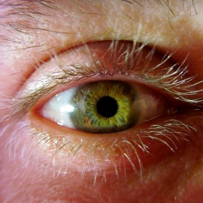 NoLimePlease's profile picture. it’s either subversion or just how monkeys learn how to make the new part