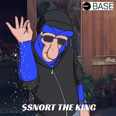 DerkmoonDark's profile picture. $SNORT don't short