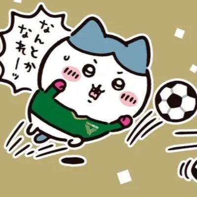 Sanfrecceholi's profile picture. 