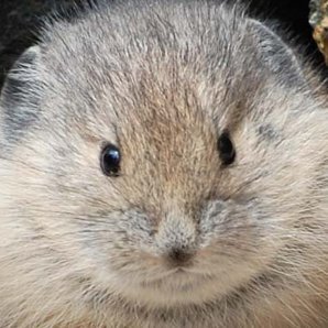 lovelyC60623440's profile picture. 