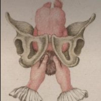 ALNAIFAH (@alllnz3) Twitter profile photo