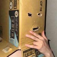 Otempo 〇テンポ オテンポ 👊~^ (@nayet318) 's Twitter Profile