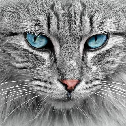 MaritaLom's profile picture. De la conducta de cada uno depende el destino de todos
(Alejandro Magno)