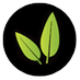 iflourish 🐝 (@i_flourish) Twitter profile photo iflourish 🐝 (@i_flourish) Twitter profile photo