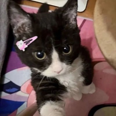 22o71004's profile image