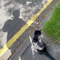 Shane Sheehan (@stackinturtles) 's Twitter Profile Photo