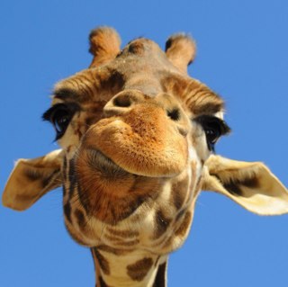 Jai_sweeney's profile picture. 