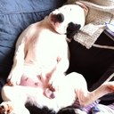 michael eldridge - @M_i_C_K_3_Y - Twitter