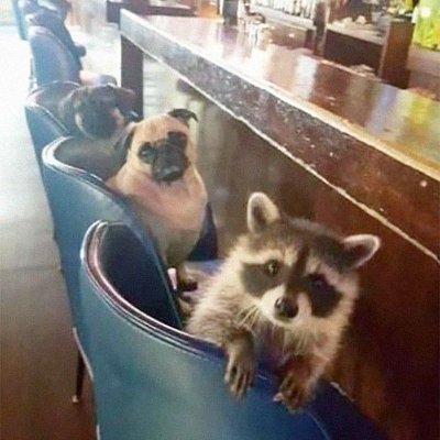 olivervanB48182's profile picture. NURSE
Very Sarcastic..
Democrat/ dog lover and a father to my Dog Cowboy (Rescued) 

Tilling the Sorrow of Stone..
Loreena McKennitt