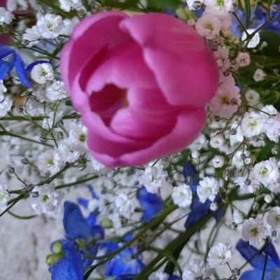 nico_kyoa1c's profile picture. 自由な人🙆