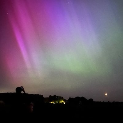 NoraMo111's profile picture. 