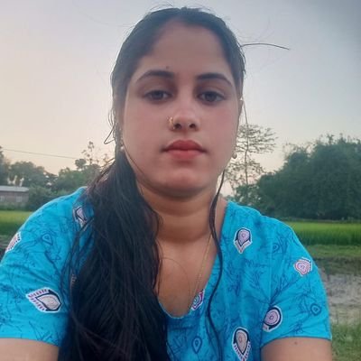 NabibarD49400's profile picture. 