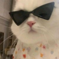 精品分享 (@jptx01) 's Twitter Profile Photo