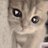 ppy_o0's profile image