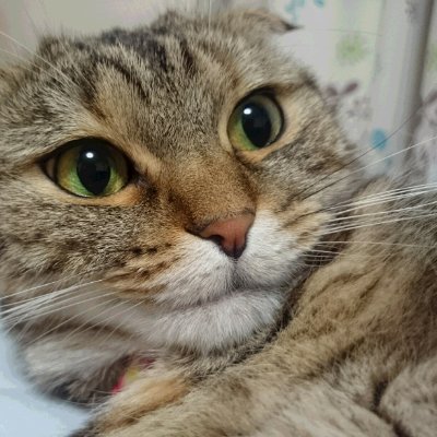 suyaki_almond's profile picture. 都内住みバツイチ独身会社員です.
週末に日本酒やワインをカジュアルに飲んだりしています。ゆるーくやってます。おじさん論外の方はスルーしてくださいませ
＃日本酒好き　＃ワイン好き