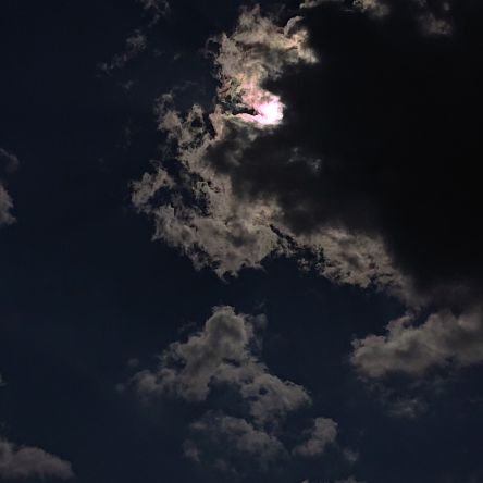 hermes_kubiwa's profile picture. 見る垢