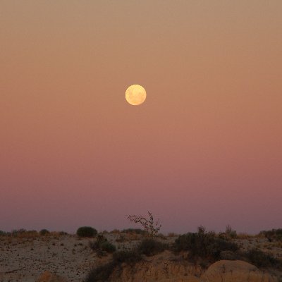 AD_RHDX's profile picture. 