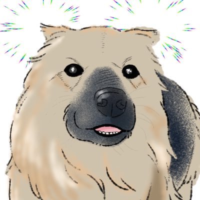 我が家の雑種犬7歳4ヶ月 Profile