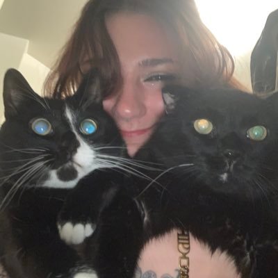 KendraCase's profile picture. 29. Fourth year PhD candidate making little mini brains & studying tau in Gulf War Illness. Lover of cats, tea, space, & books