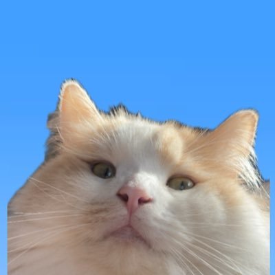 kanata_____18's profile picture. 