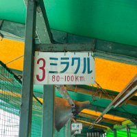 タナカ (@haruto_240517) Twitter profile photo