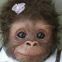 Lore Perez (@lorep63) 's Twitter Profile