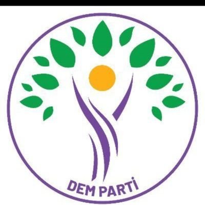 demirellifr's profile picture. Uzun zamandir Tweet ter kullaniyorum